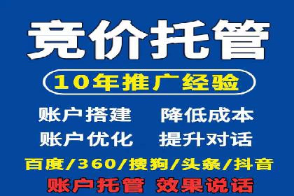 SEO与SEM优化案例：打造行业领先品牌